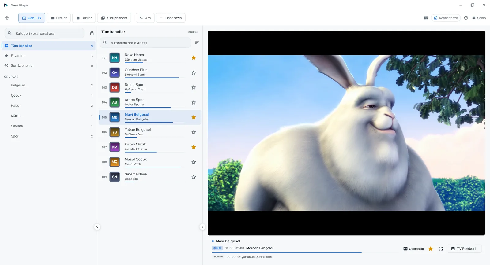 TV en directo: grupos, canales y reproductor lado a lado